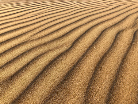 Ripples in Desert Sand